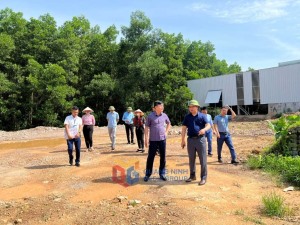 Hạ Long: Siết chặt quản lý tài nguyên than, khoáng sản